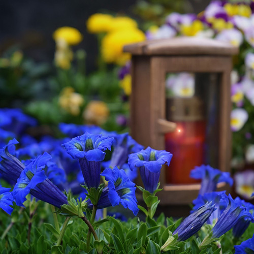 Friedhof
