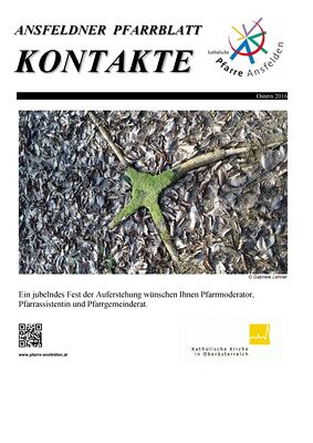 Pfarrblatt Kontakte