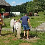 Ponyreiten