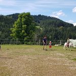 Ponyreiten