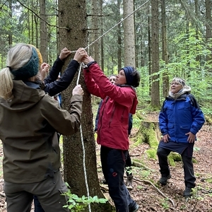 WaldWE