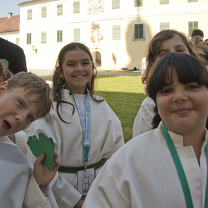Minis in St. Florian