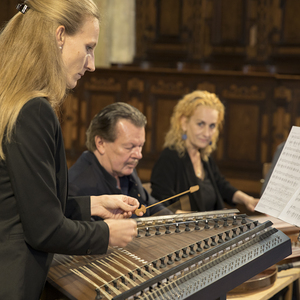 Von Saite zu Saite / Herbert Fink Benefizkonzert zugunsten der Innenrenovierung der Stadtpfarrkirche