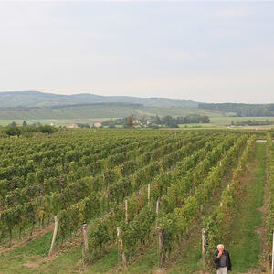 Kirchenchorausflug Burgenland 2017
