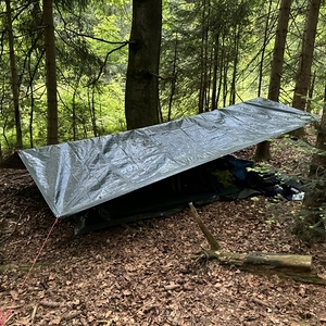 WaldWE